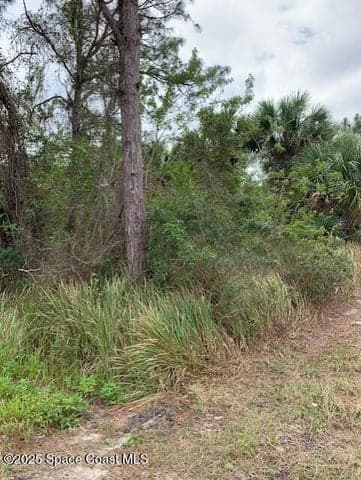 1158 Satin Road SW, Palm Bay, FL 32908