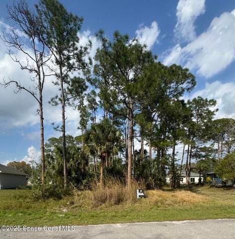 443 Wayland Road SW, Palm Bay, FL 32908