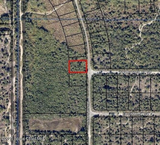 2898 Ginryo Road SW, Palm Bay, FL 32908