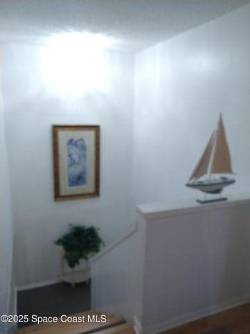 8705 Hibiscus Court, Cape Canaveral, FL 32920 — photo 31