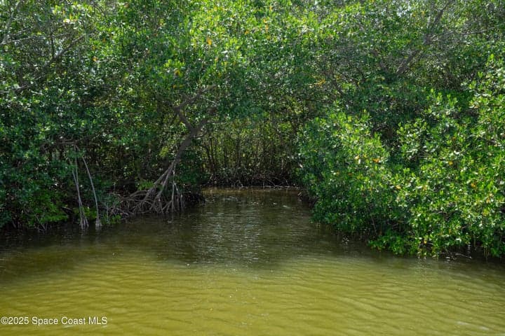 365 Newfound Harbor Drive, Merritt Island, FL 32952 — photo 31