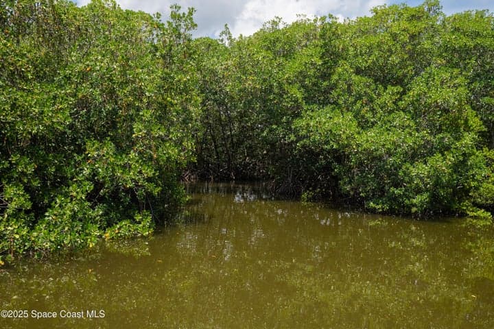 365 Newfound Harbor Drive, Merritt Island, FL 32952 — photo 32