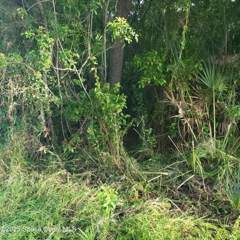 1462 Newfound Harbor Drive, Merritt Island, FL 32952