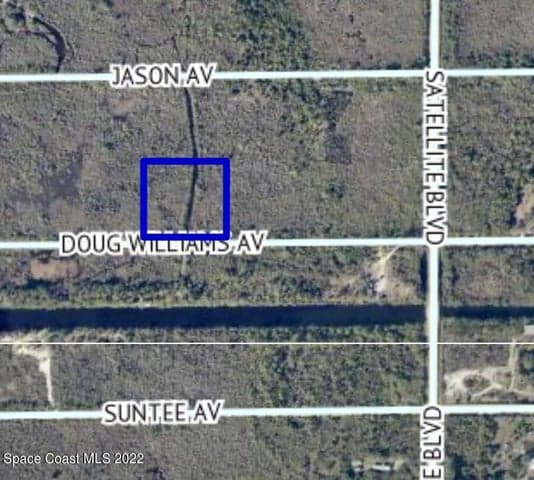 0000 Doug Williams Avenue, Cocoa, FL 32926