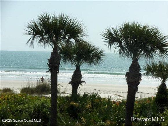 446 Beach Park Lane #V184, Cape Canaveral, FL 32920 — photo 23
