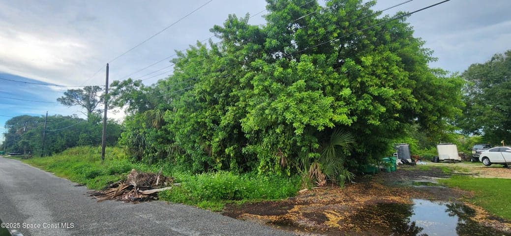 Photo 4