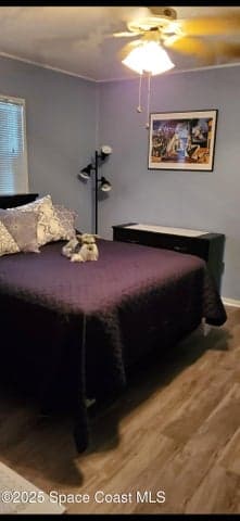 817 Bianca Drive NE, Palm Bay, FL 32905 — photo 24
