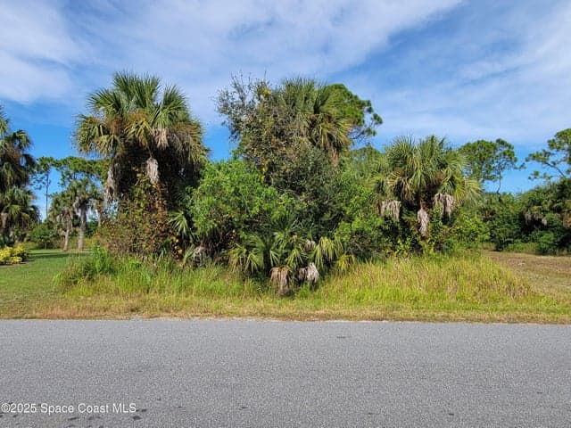 121 Halloran Street SE, Palm Bay, FL 32909 — photo 4