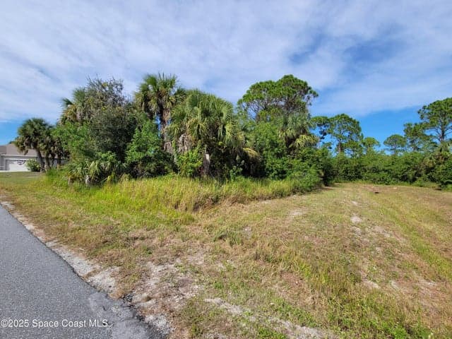 121 Halloran Street SE, Palm Bay, FL 32909 — photo 8