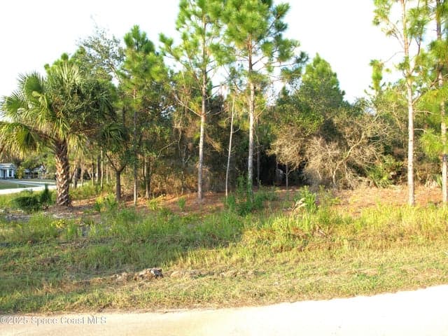 1615 Tigard Street SE, Palm Bay, FL 32909 — photo 4