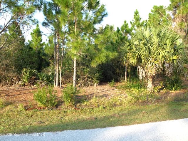 1615 Tigard Street SE, Palm Bay, FL 32909 — photo 5