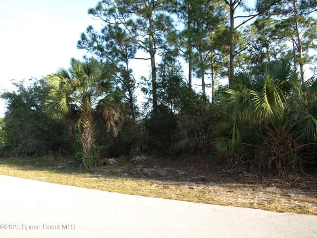 3291 Wesday Road SE, Palm Bay, FL 32909 — photo 4