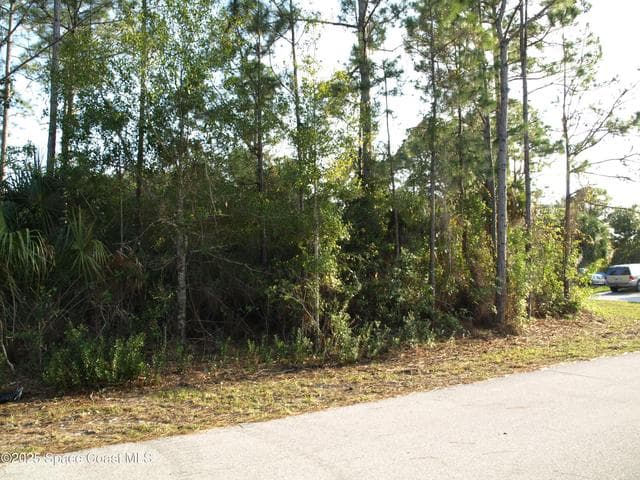 3291 Wesday Road SE, Palm Bay, FL 32909 — photo 5