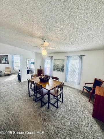 2399 Coconut Palm Drive NE, Palm Bay, FL 32905 — photo 5