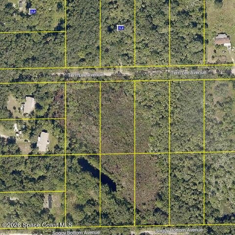 00 Terri Lee Avenue, Cocoa, FL 32926 — photo 3