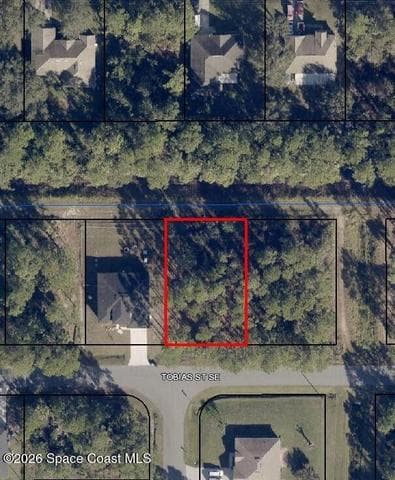 491 Tobias Street SE, Palm Bay, FL 32909