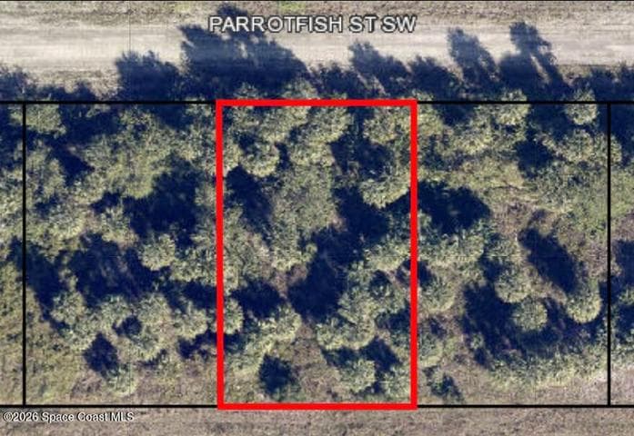 756 Parrotfish Street SW, Palm Bay, FL 32908
