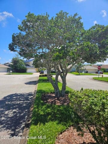 3904 Saint Armens Circle, Melbourne, FL 32934 — photo 26