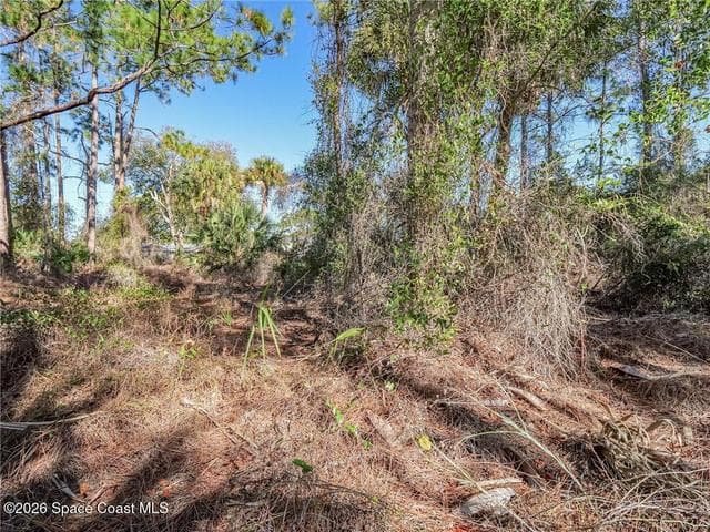 179 Bali Street SE, Palm Bay, FL 32909 — photo 4