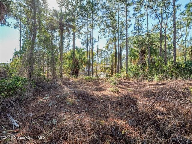 179 Bali Street SE, Palm Bay, FL 32909 — photo 7