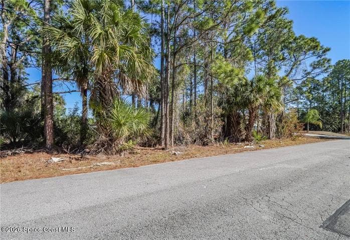 179 Bali Street SE, Palm Bay, FL 32909 — photo 9