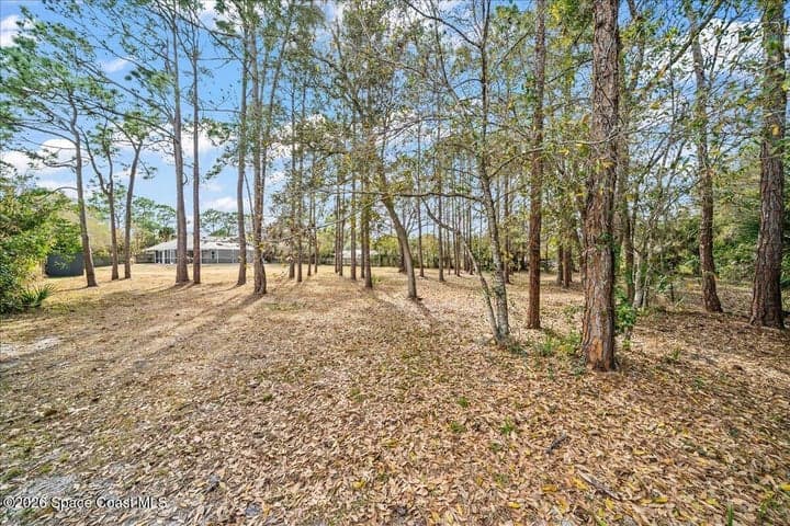4520 White Road, Melbourne, FL 32934 — photo 29