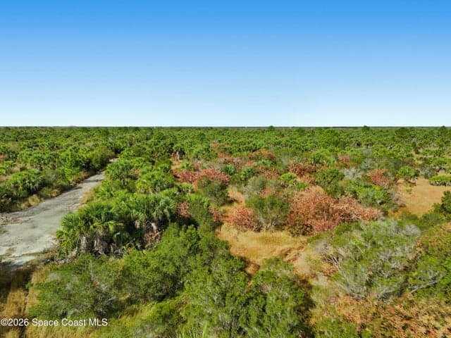 1005 Cartret Street SW, Palm Bay, FL 32908 — photo 6