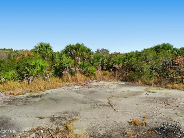 1005 Cartret Street SW, Palm Bay, FL 32908 — photo 7
