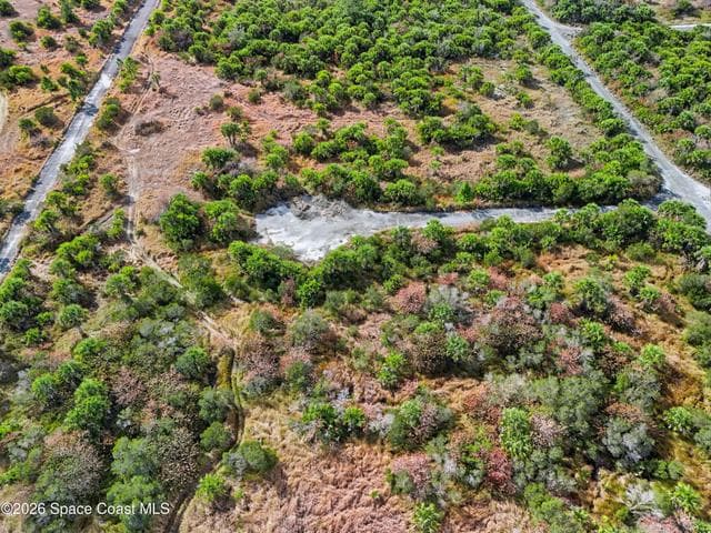 1005 Cartret Street SW, Palm Bay, FL 32908 — photo 10