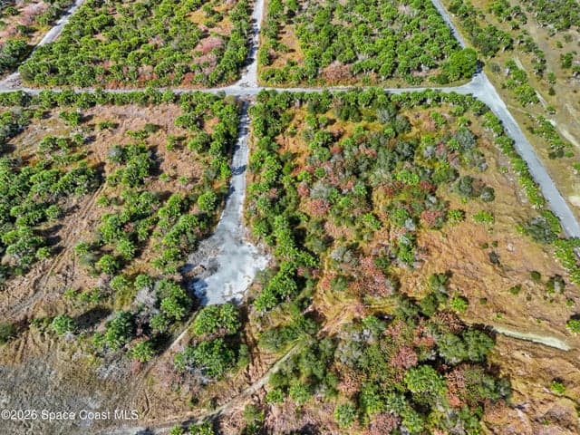 1005 Cartret Street SW, Palm Bay, FL 32908 — photo 12