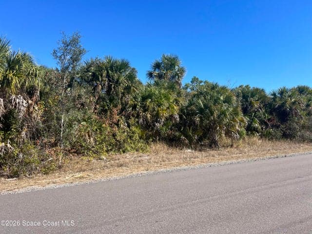 541 La Goy Street SW, Palm Bay, FL 32908