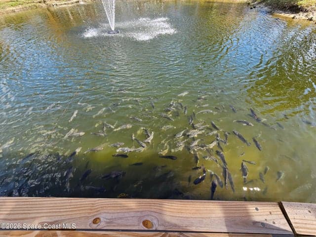 3375 Hield Road, Melbourne, FL 32904 — photo 35