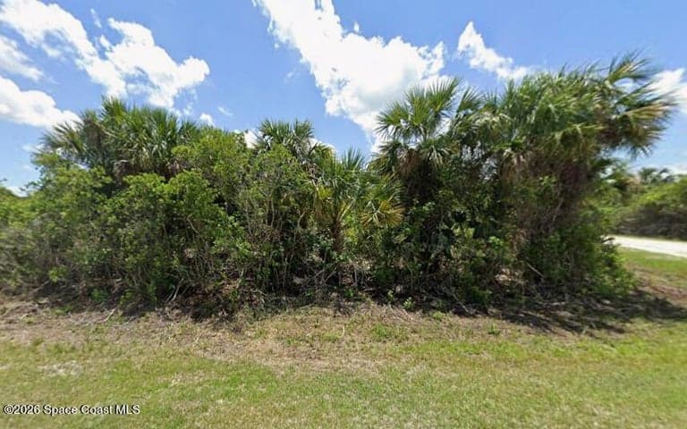 3201 Mockinbird Avenue SW, Palm Bay, FL 32908