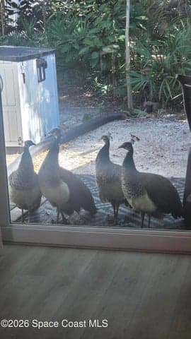 544 Beach Park Lane #V231, Cape Canaveral, FL 32920 — photo 37