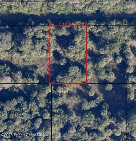 742 Burgess Street SW, Palm Bay, FL 32908