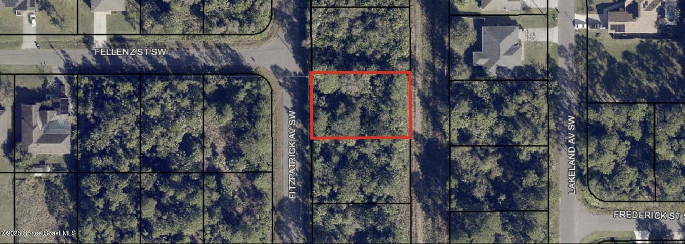 2717 Fitzpatrick Avenue SW, Palm Bay, FL 32908