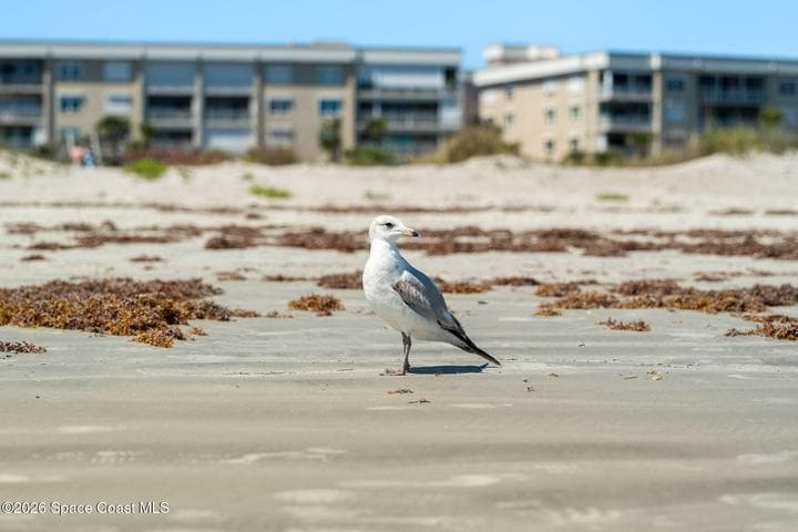 606 Shorewood Drive #C308, Cape Canaveral, FL 32920 — photo 36