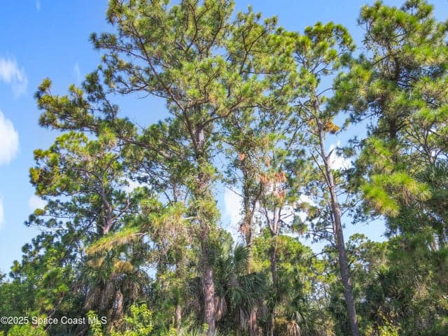 491 Fairbanks Street, Palm Bay, FL 32908 — photo 9