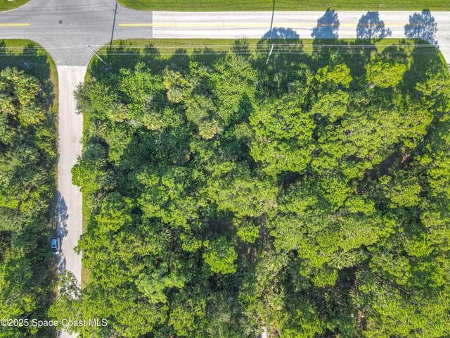 499 Fairbanks Street, Palm Bay, FL 32908 — photo 11