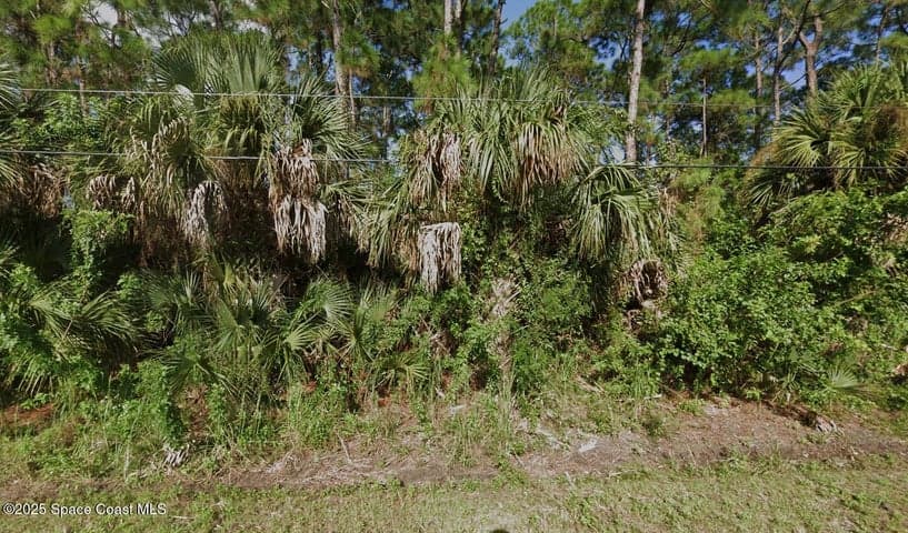 1067 Harlingen Road SW, Palm Bay, FL 32908
