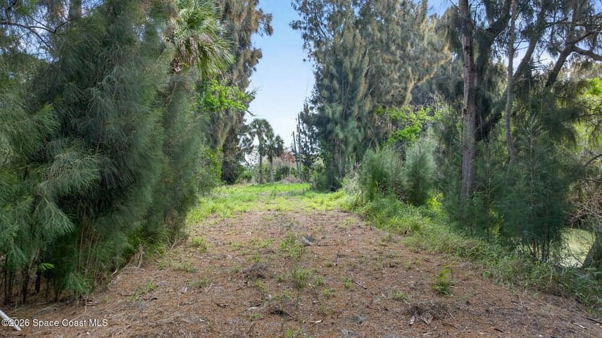 5590 Joseph Court, Merritt Island, FL 32953 — photo 8