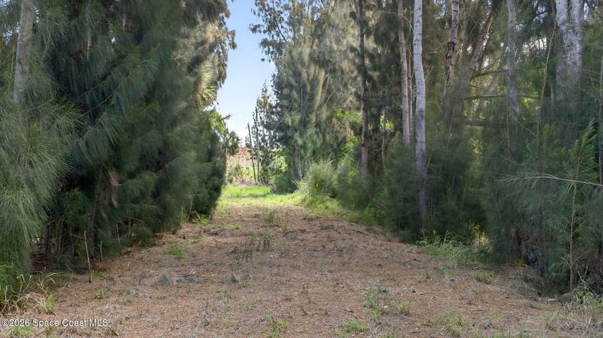 5590 Joseph Court, Merritt Island, FL 32953 — photo 33