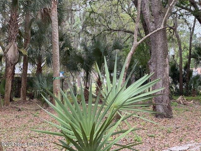 1160 Grapefruit Road SE, Palm Bay, FL 32909