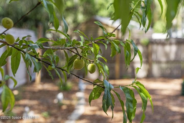 7455 Darien Road, Cocoa, FL 32927 — photo 37