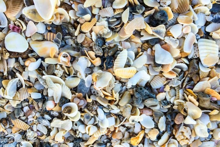 1630 Pine Street, Melbourne Beach, FL 32951 — photo 42