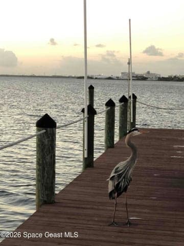 261 Cape Shores Circle #18-F, Cape Canaveral, FL 32920 — photo 47