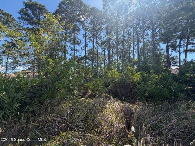 2515 Stillwater Lakes Drive SW, Palm Bay, FL 32908 — photo 8