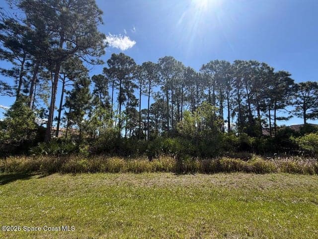2515 Stillwater Lakes Drive SW, Palm Bay, FL 32908 — photo 5