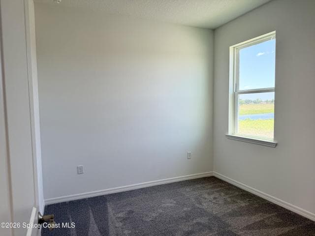 917 Castleford Avenue NE, Palm Bay, FL 32905 — photo 11
