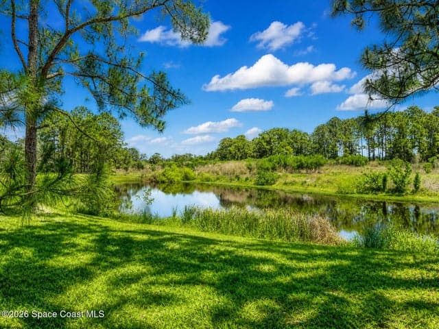 541 Morning Cove Circle SE, Palm Bay, FL 32909 — photo 5